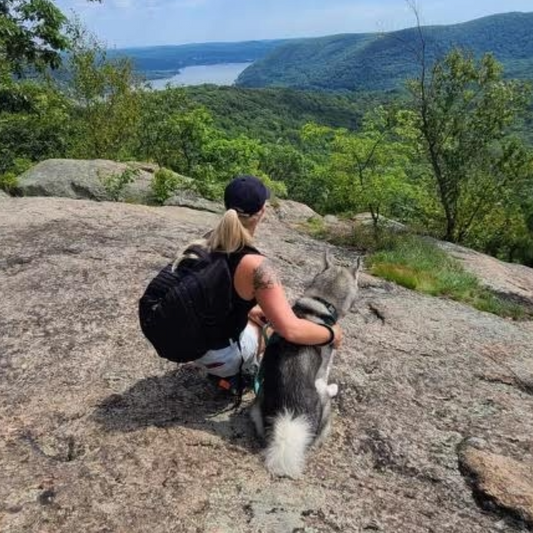 The Ultimate Guide to Dog-Friendly Hiking Adventures