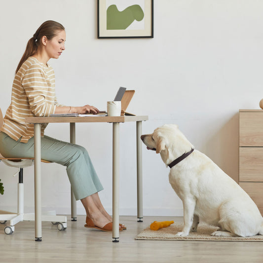 How to Keep Your Dog Entertained While Working From Home