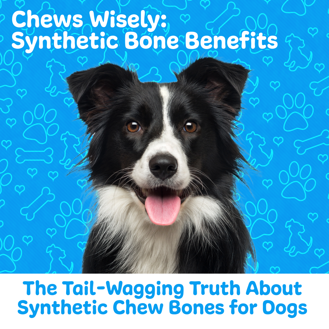 Chews Wisely: Synthetic Bone Benefits – Chew'ems