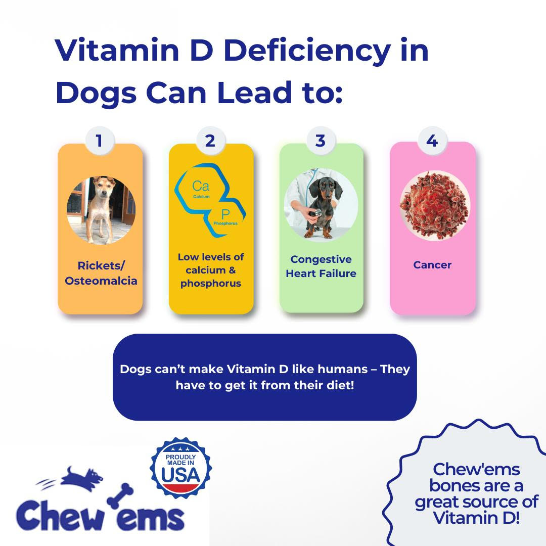 Is Your Dog Vitamin D Deficient?