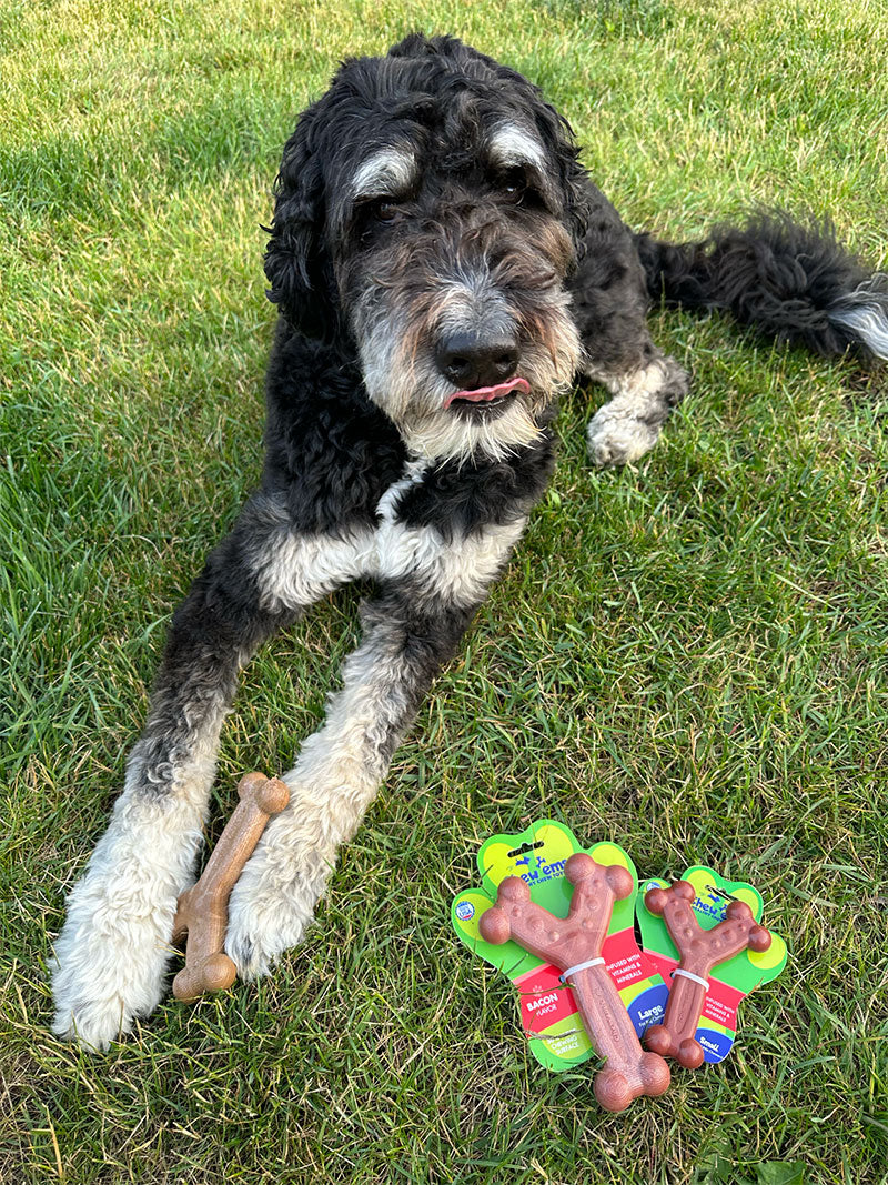 Chew’ems Dog Chew Toy Bundles – Build Your Own 4-Pack for All Dog Sizes