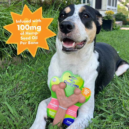 A dog sitting on grass holding a colorful chew toy with 'Chew'ems with Hemp Seed Oil' text and flavor names like Bacon, Beef, Chicken, Salmon, and Pumpkin Spice.